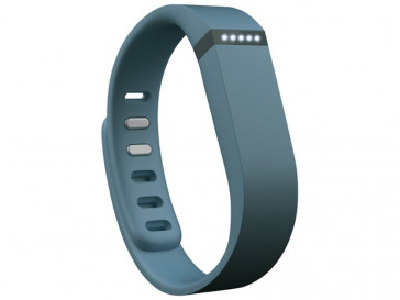 FLEX FB401SL FITBIT