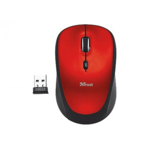 RATON YVI ROJO 19522 TRUST