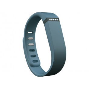 FLEX FB401SL FITBIT