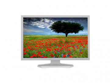 MULTISYNC P242W (W) NEC
