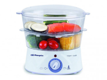 VAPORERA CO4000 ORBEGOZO