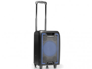 ALTAVOZ BLUETOOTH WILD METAL NGS