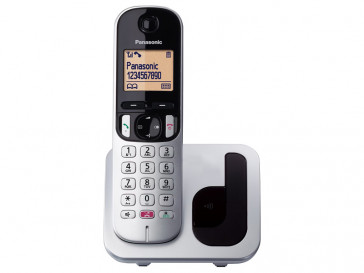TELEFONO INALAMBRICO DECT KX-TGC250SP (S) PANASONIC