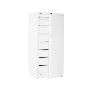 CONGELADOR VERTICAL INDUSTRIAL LIEBHERR 1 PUERTA LIBRE INSTALACION SMART FROST 472 LITROS G G-5216-21